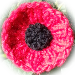 Quick Knitted Poppy